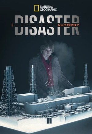 Disaster Autopsy