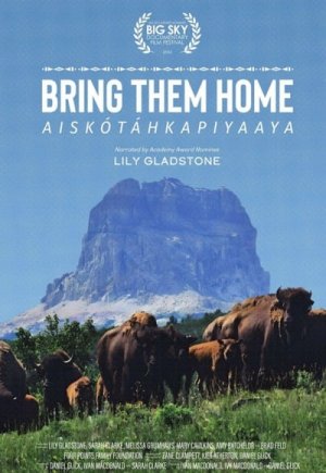 Bring Them Home