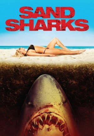 Sand Sharks